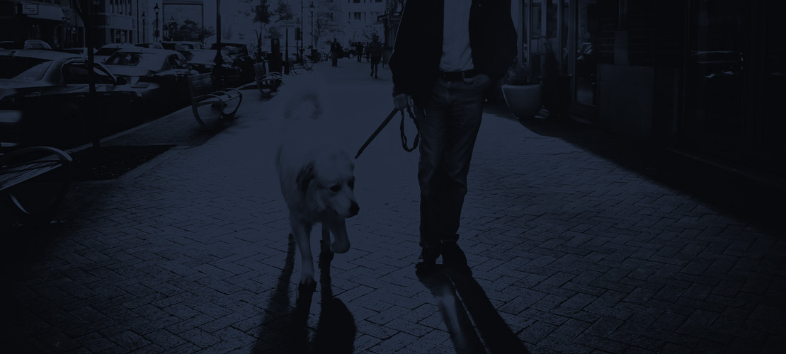 Walk the dog after dinner
